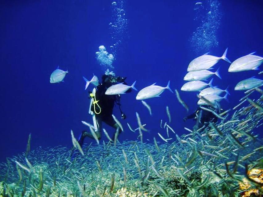 Thulusdhoo Garden Villa Zewnętrze zdjęcie